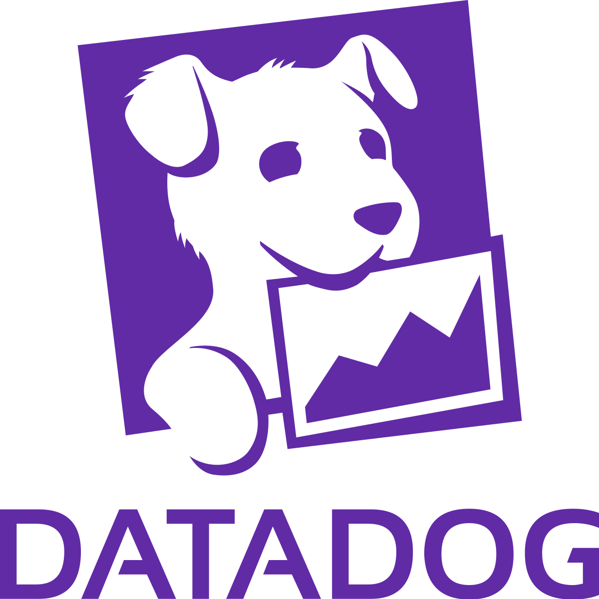 Datadog Inc