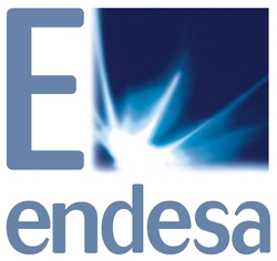 Endesa S.A.