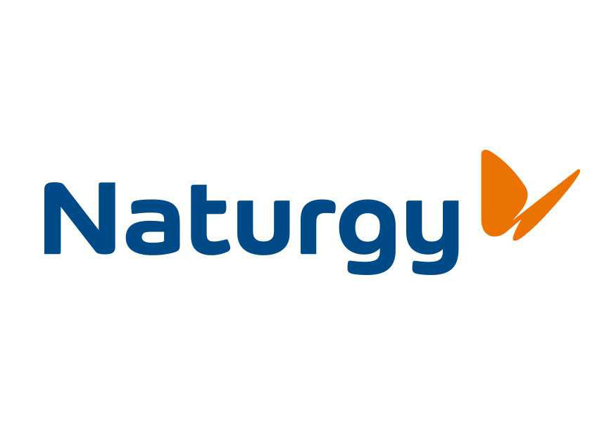Naturgy Energy Group S.A.